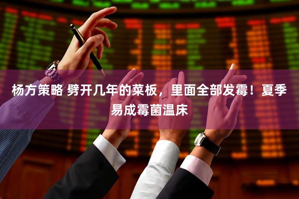杨方策略 劈开几年的菜板，里面全部发霉！夏季易成霉菌温床