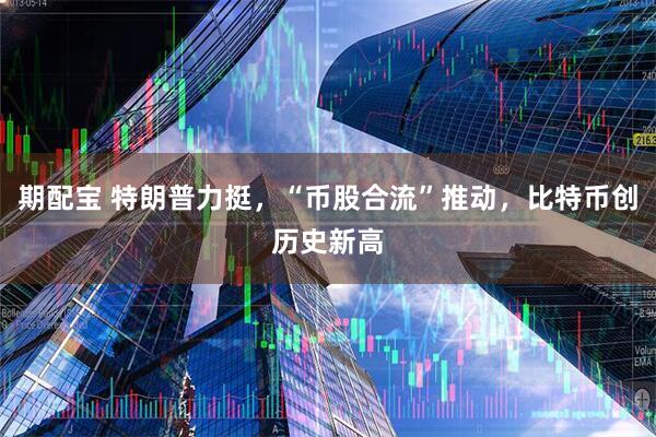 期配宝 特朗普力挺，“币股合流”推动，比特币创历史新高