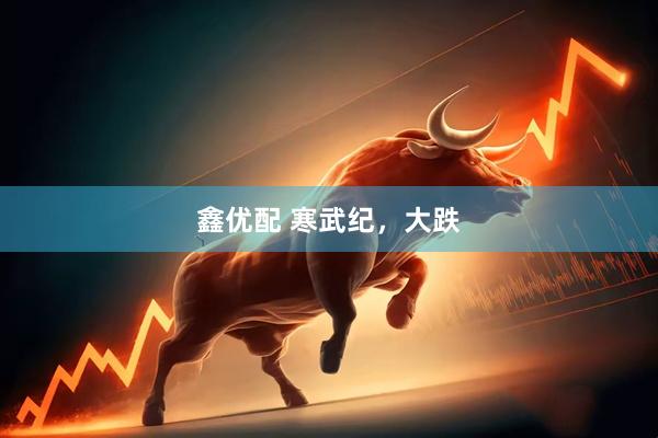 鑫优配 寒武纪，大跌